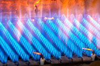 Vaynol Hall gas fired boilers